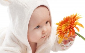 212 Nama Bayi Laki Laki Yang Artinya Bunga